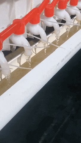 Membrane Filter Press For Fish Feces Treatment