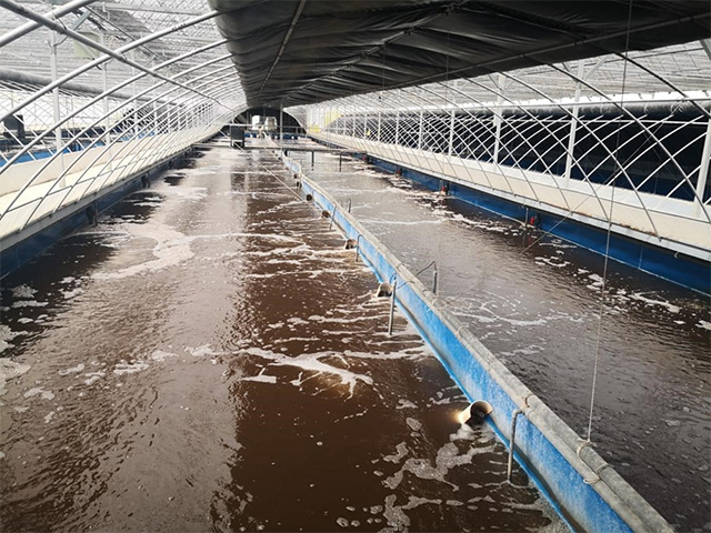 Membrane Filter Press For Fish Feces Treatment