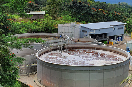 Poultry Factory Water Filtration System