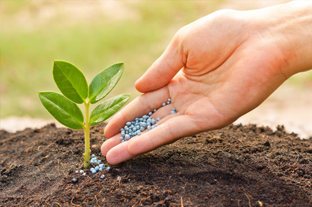 Fertilizer production from municipal sludge and its application prospect