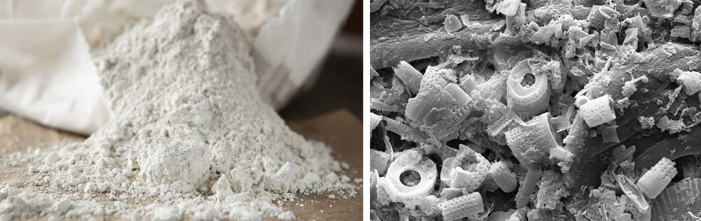 Diatomaceous earth